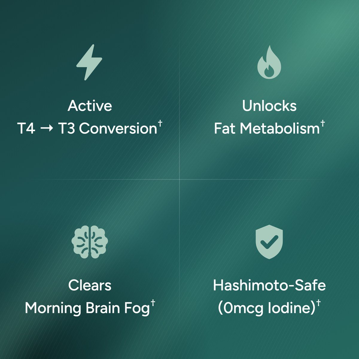 Thyra benefits
